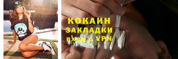 PSILOCYBIN Лагань