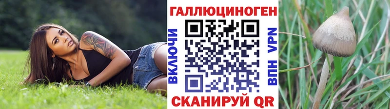 дарнет шоп  Куровское  Галлюциногенные грибы GOLDEN TEACHER 
